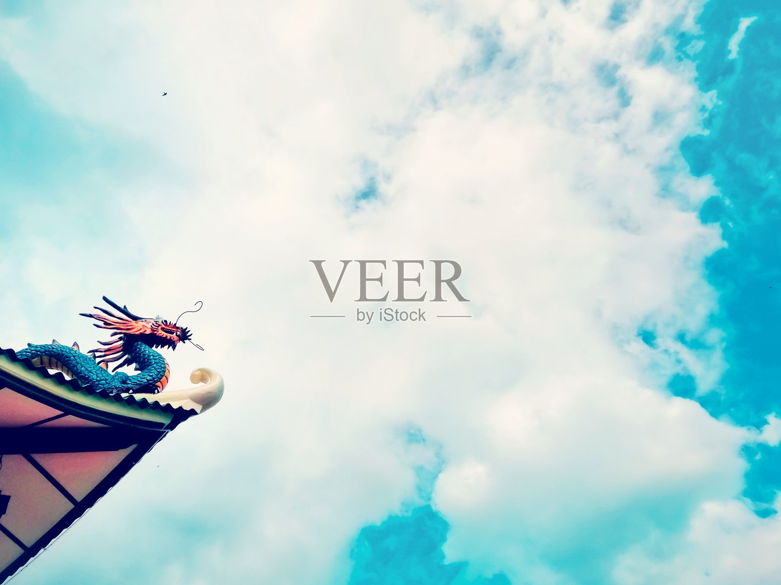 强大的龙照片摄影图片