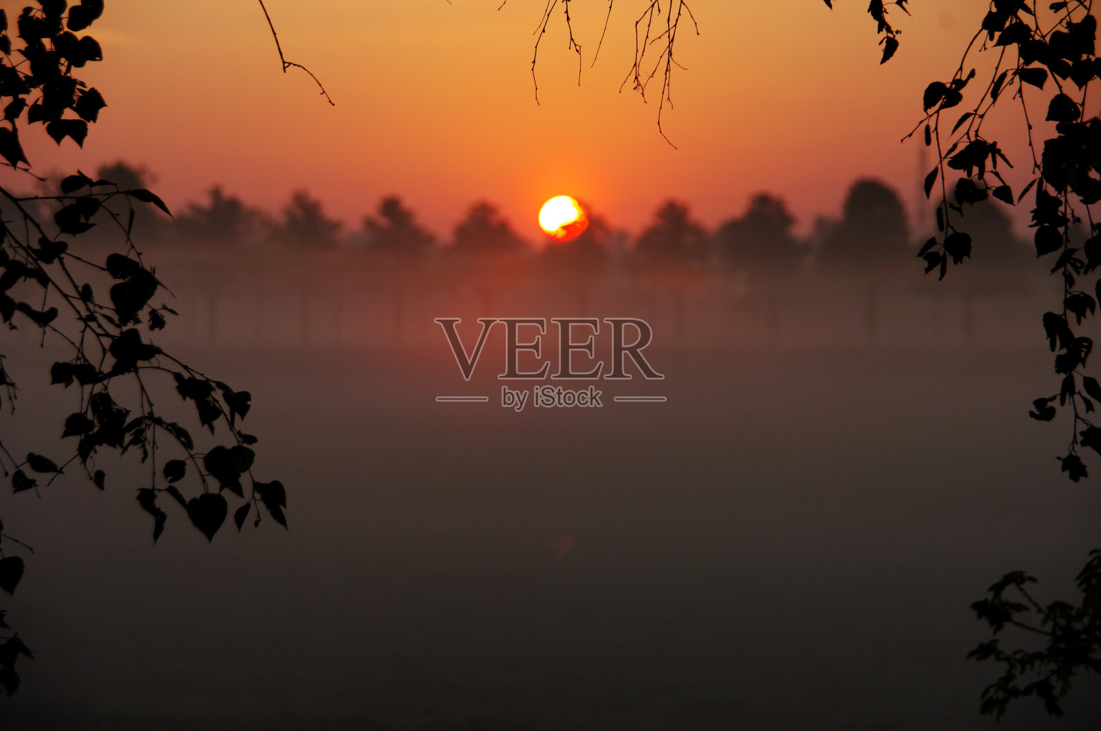 雾蒙蒙的日出照片摄影图片