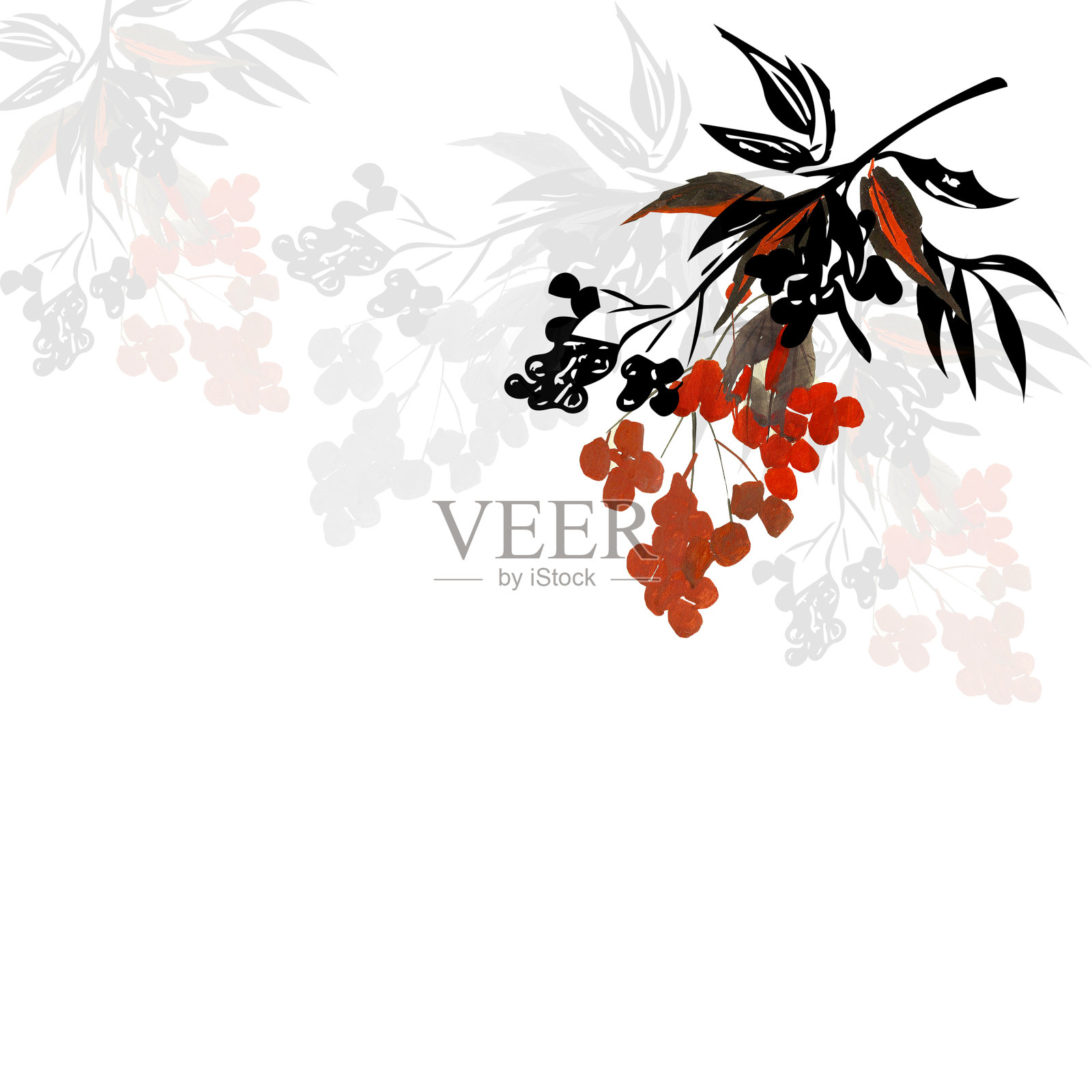 花楸树。插画图片素材