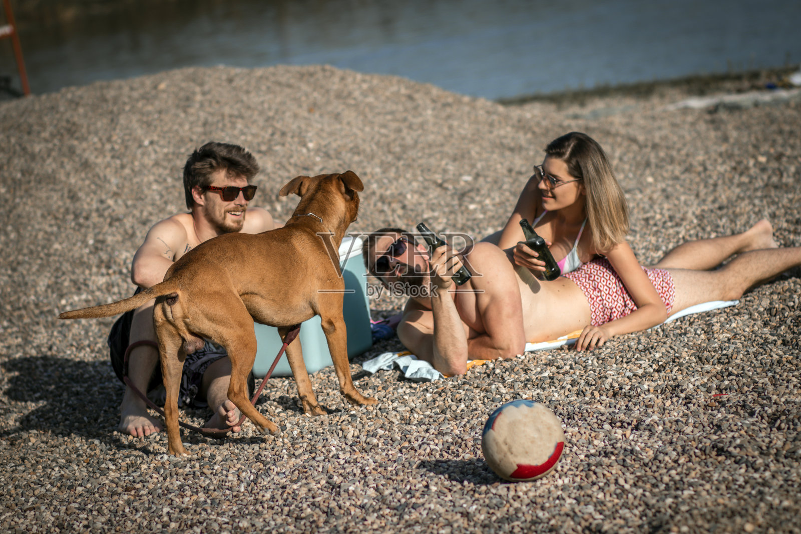 朋友们在夏天的海滩上聚会和玩乐。照片摄影图片