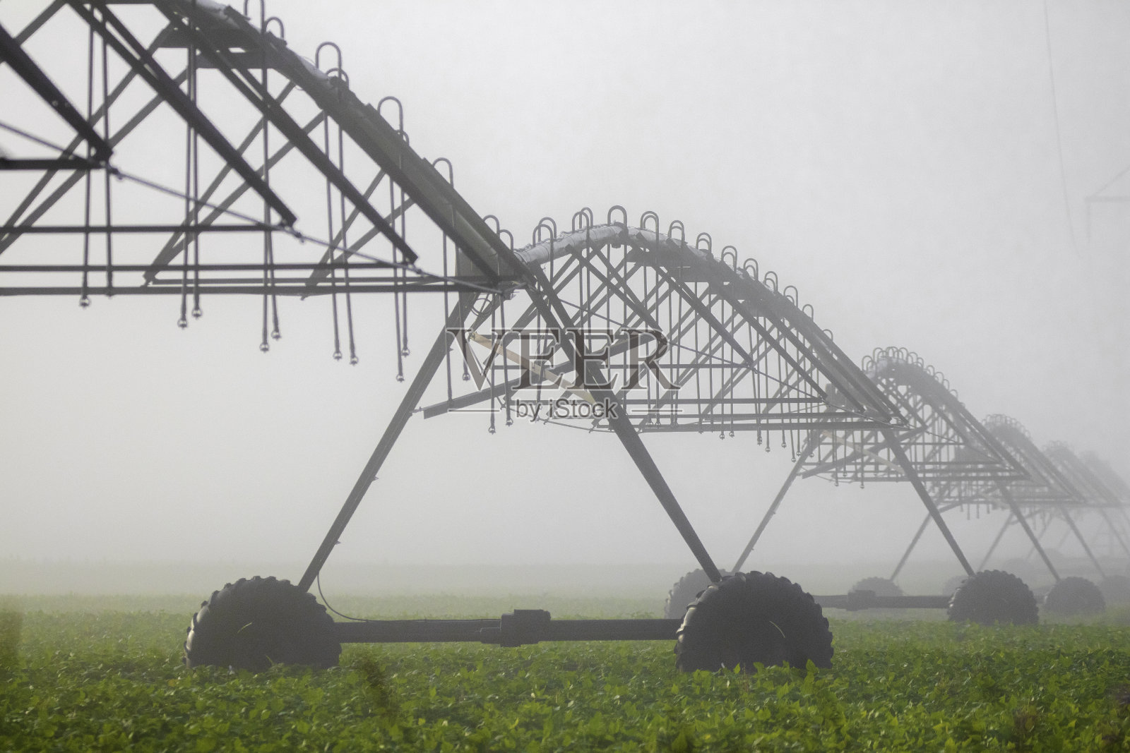 中心支点灌溉用于灌溉农作物照片摄影图片