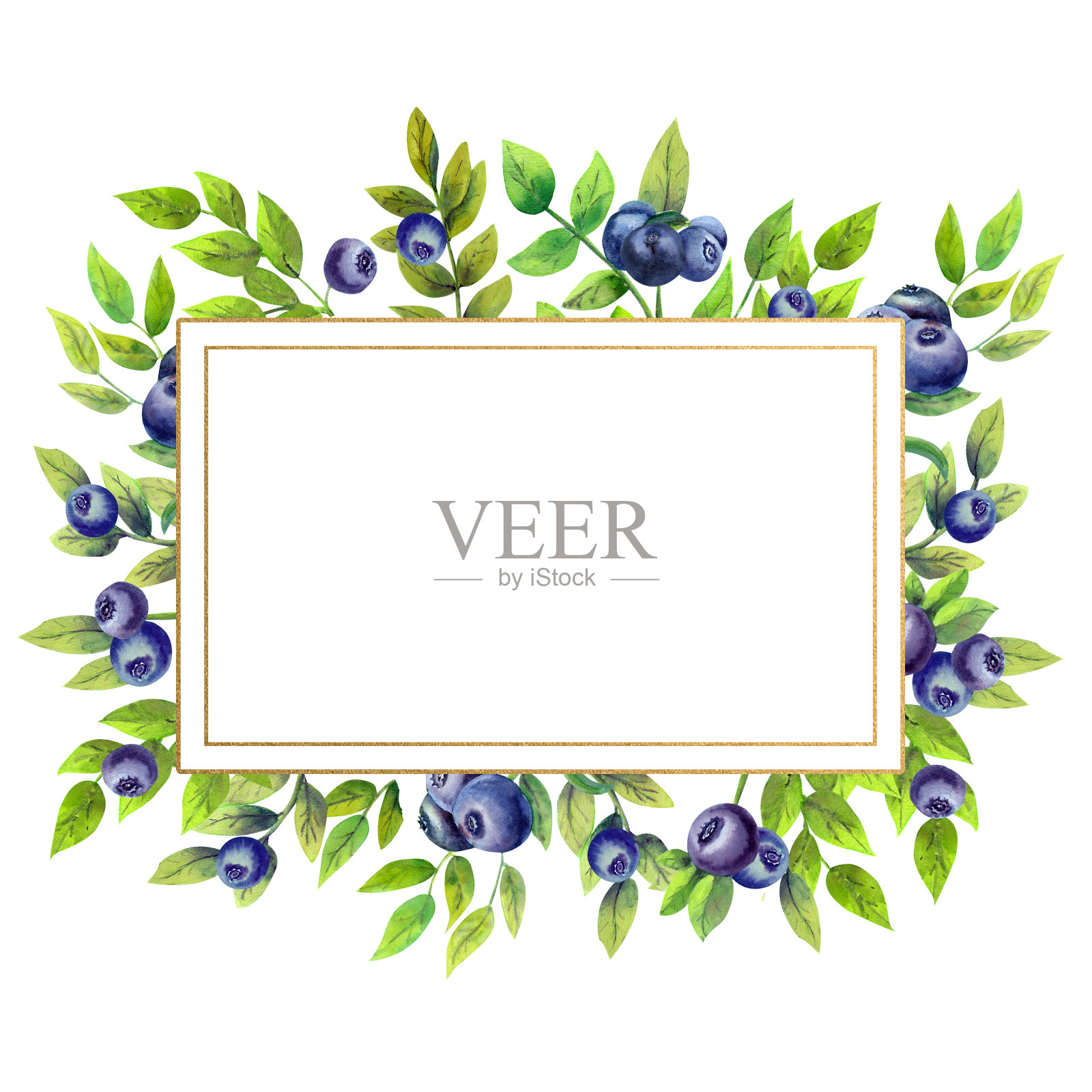 金色的几何框架与成熟的蓝莓在白色孤立的背景。水彩插图。插画图片素材