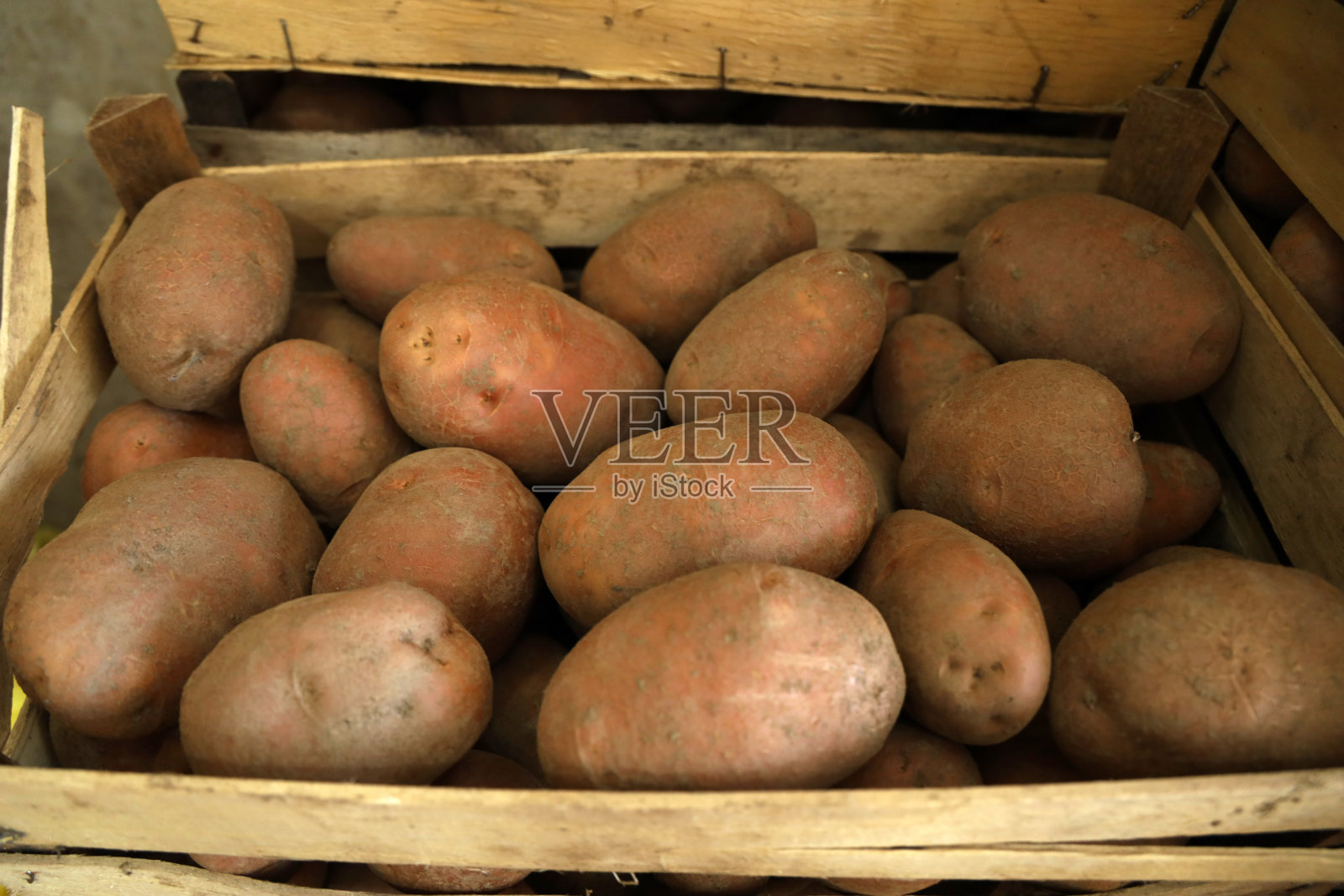 生土豆照片摄影图片