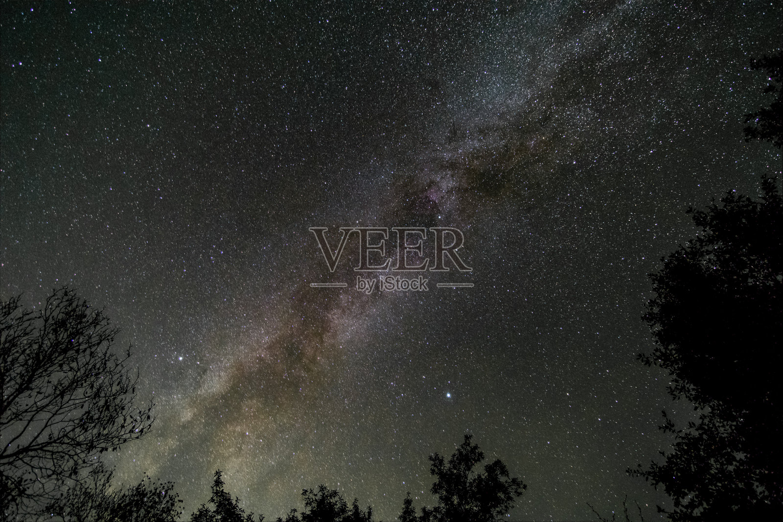 红杉国家公园拍摄的星图照片摄影图片