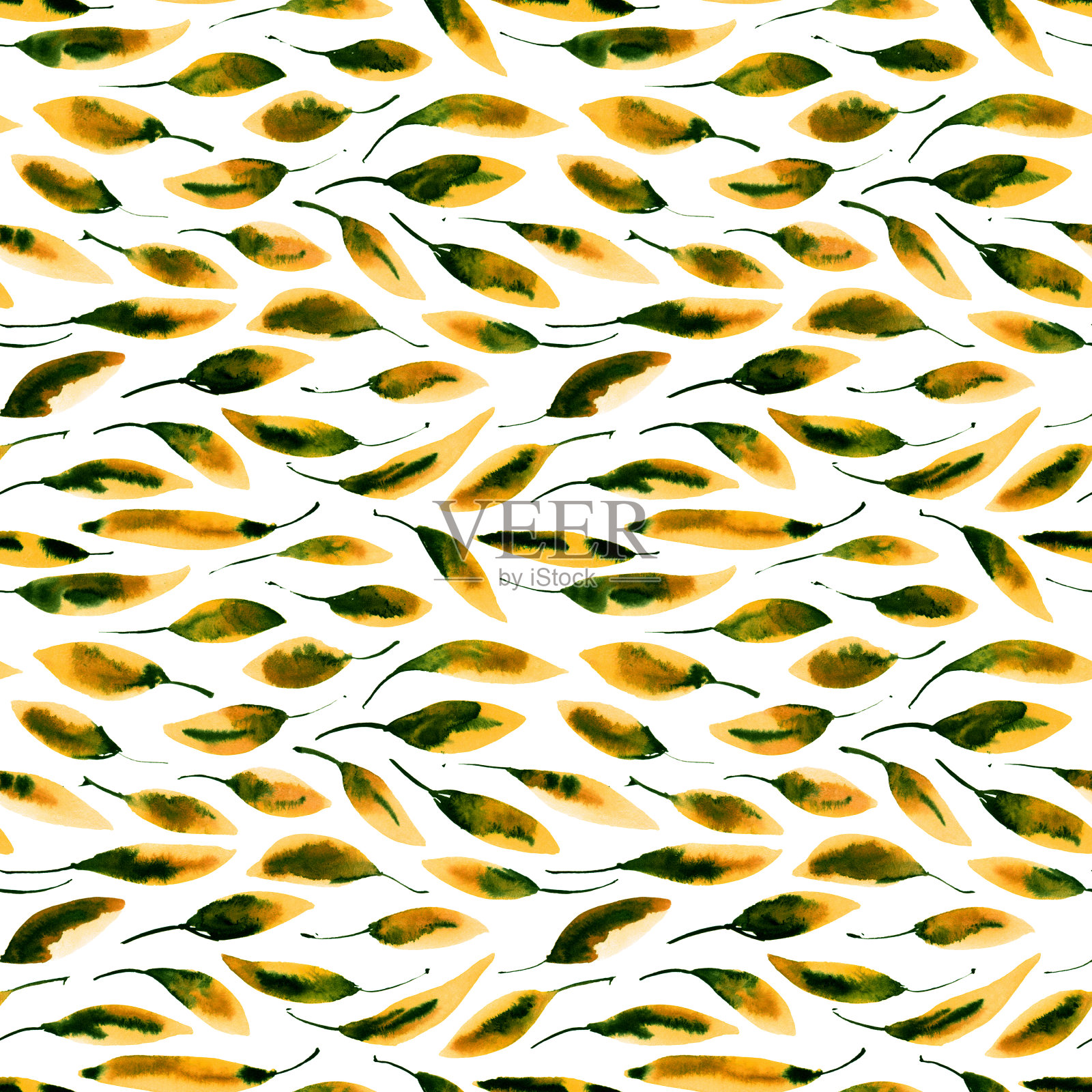 有叶的水彩模式插画图片素材