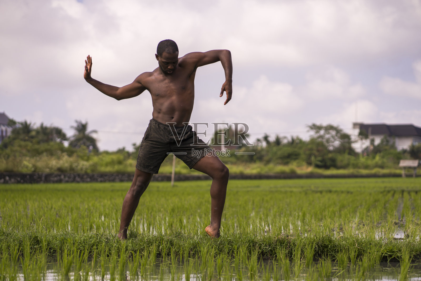 艺术戏剧性的户外肖像年轻迷人的当代芭蕾舞者和编舞，一个黑人美国男子跳舞和摆姿势在热带稻田的背景照片摄影图片