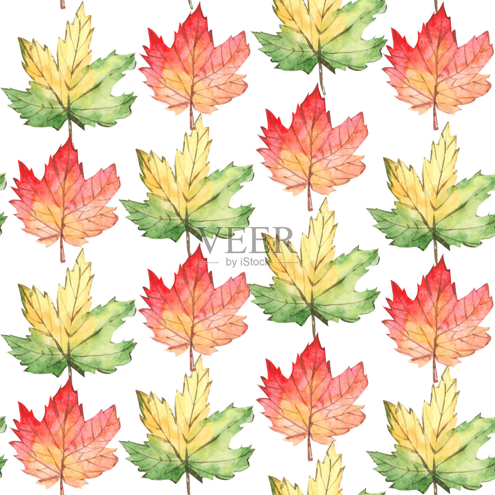 水彩无缝图案秋花。手绘树叶设计元素。插画图片素材