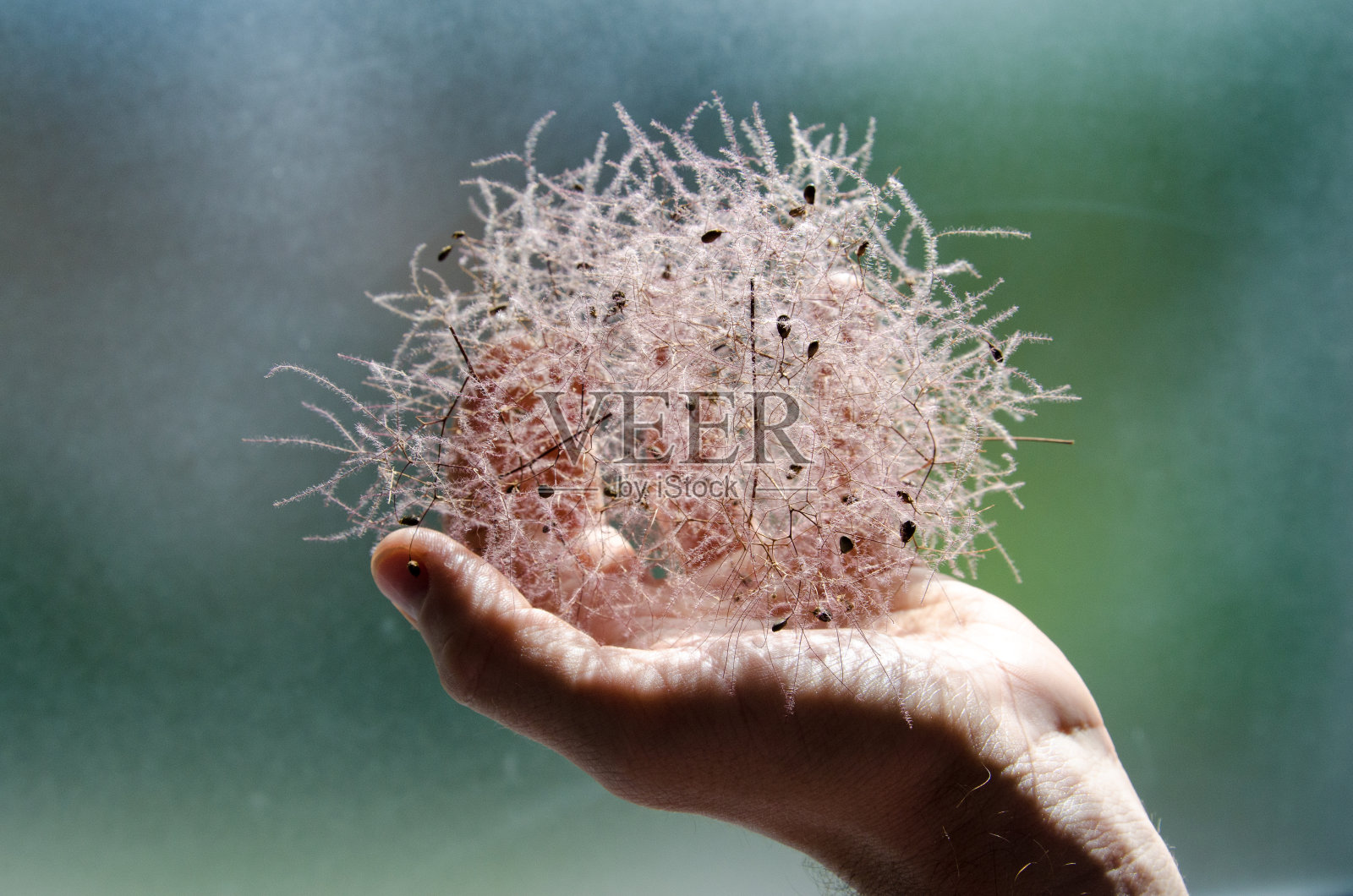 拯救地球照片摄影图片