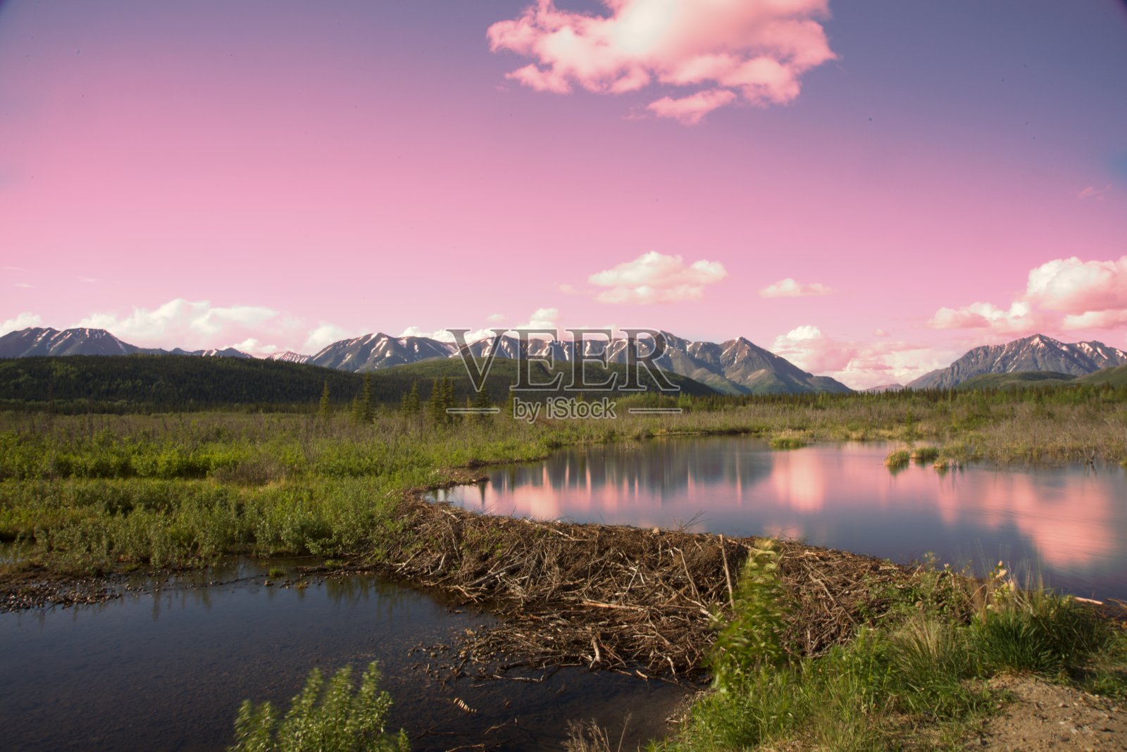 阿拉斯加的荒野:山脉，河流，海狸坝，和池塘的倒影。照片摄影图片