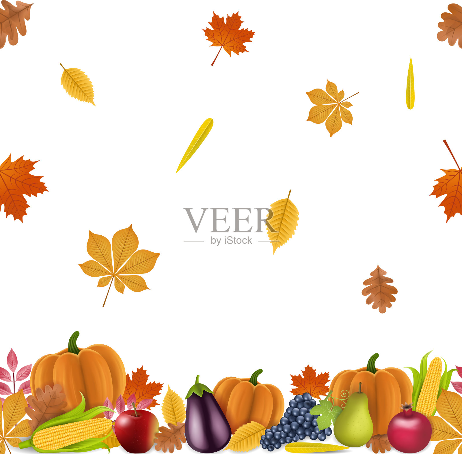 秋天的果实和树叶无缝横幅背景插画图片素材