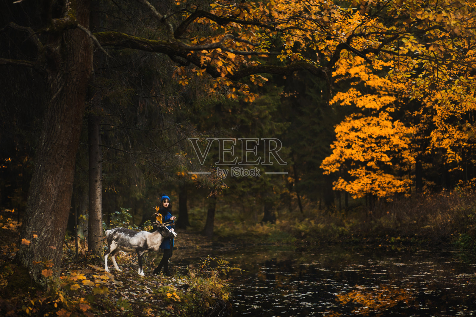 一个美丽的女孩模特和鹿在公园里散步照片摄影图片