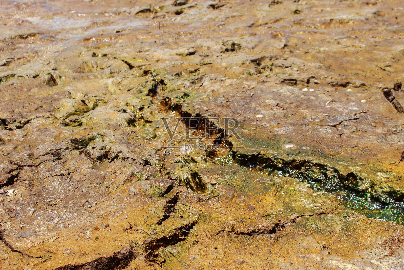 了土壤照片摄影图片