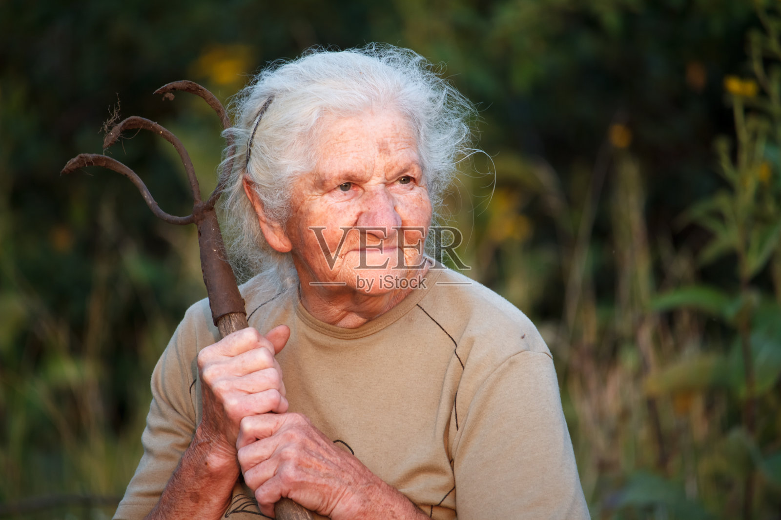 一个灰白头发的老妇人的特写，手里拿着一把生锈的干草叉或菜刀，脸上有深深的皱纹，选择性聚焦照片摄影图片