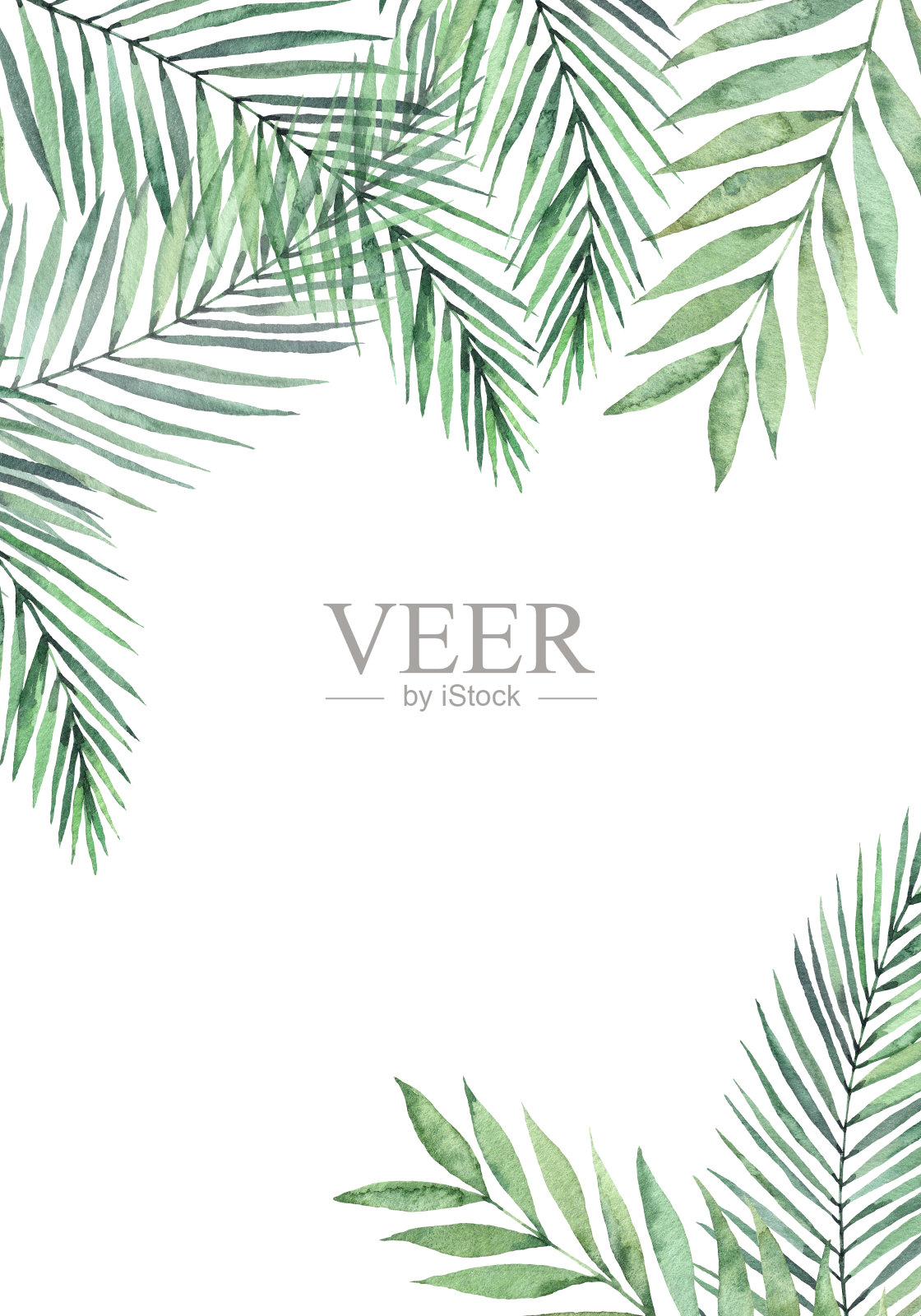 水彩插图。你好,夏天。有棕榈叶和枝的植物框架。热带的名片。花的设计元素。完美的婚礼邀请函，贺卡，博客，海报插画图片素材