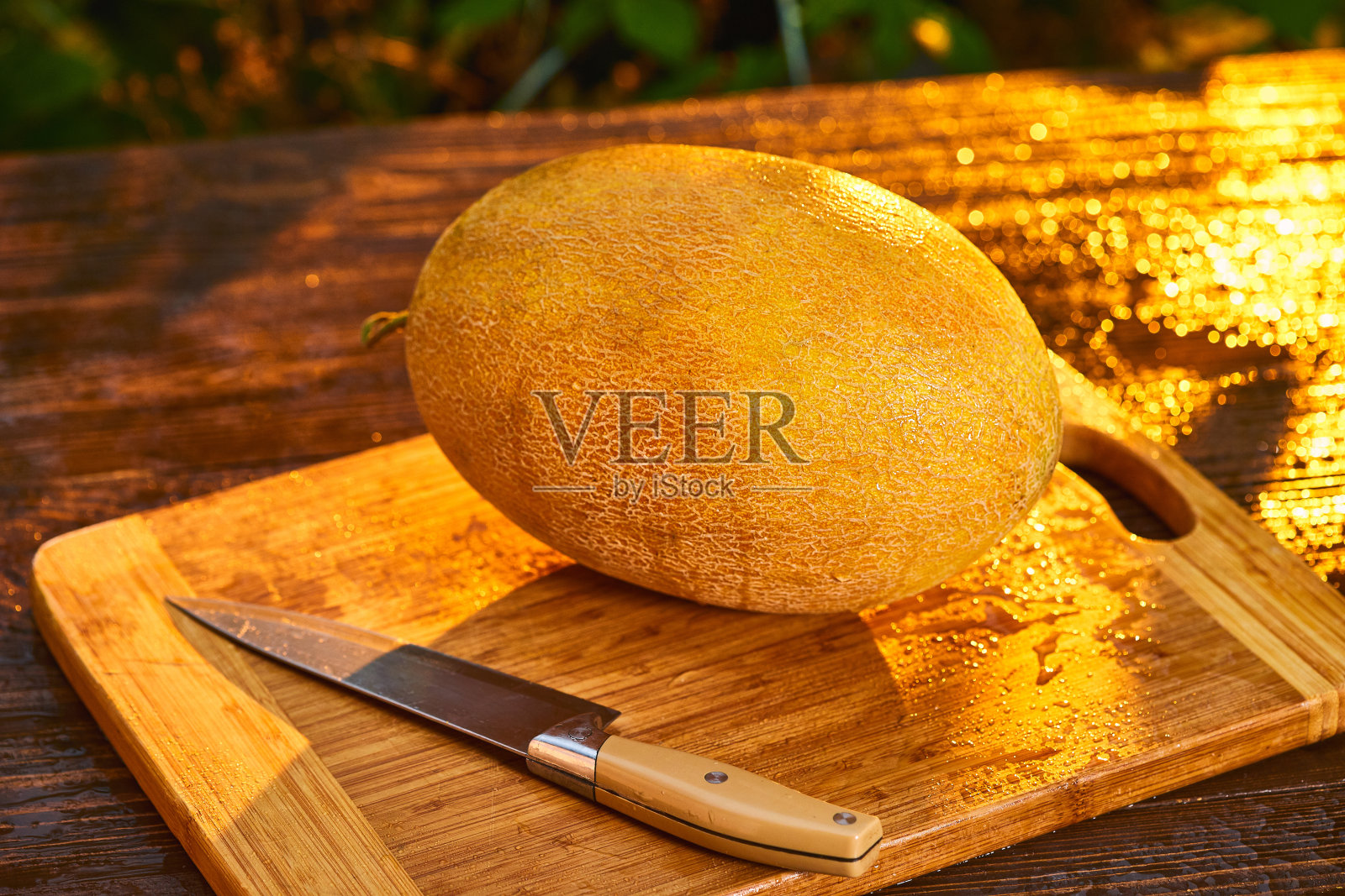 新鲜成熟的瓜在木桌上，模糊的花园日落背景。食品，水果或保健概念。照片摄影图片