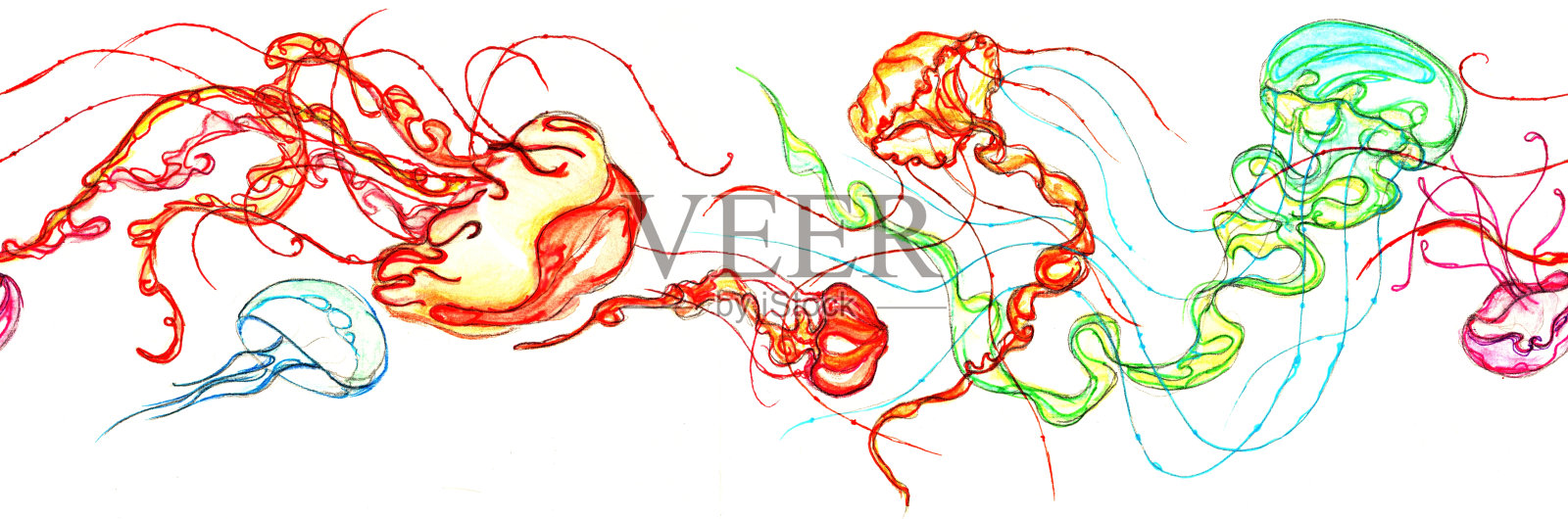 手绘水母水平模式插画图片素材