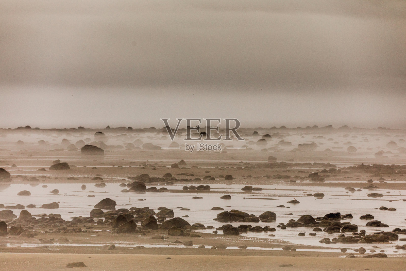 弗兰克林村138号公路：雾蒙蒙的早晨，圣劳伦斯河的退潮景象照片摄影图片