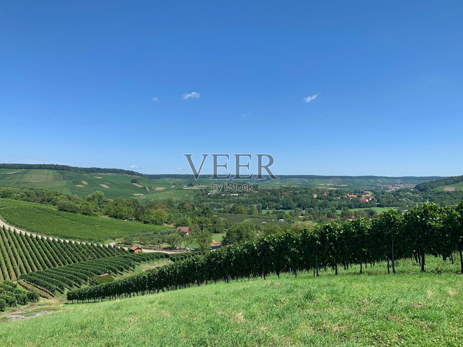 温斯伯格附近的葡萄园，Baden-Württemberg照片摄影图片