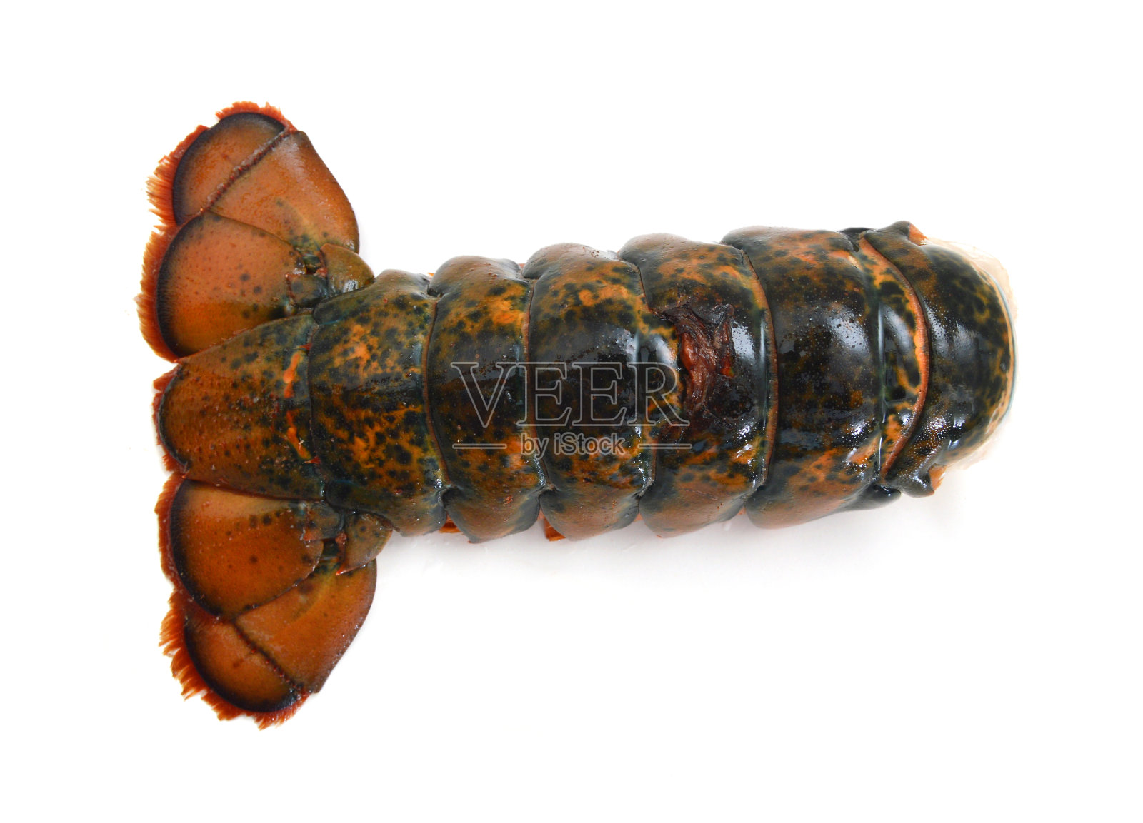 白色背景上的龙虾尾巴照片摄影图片