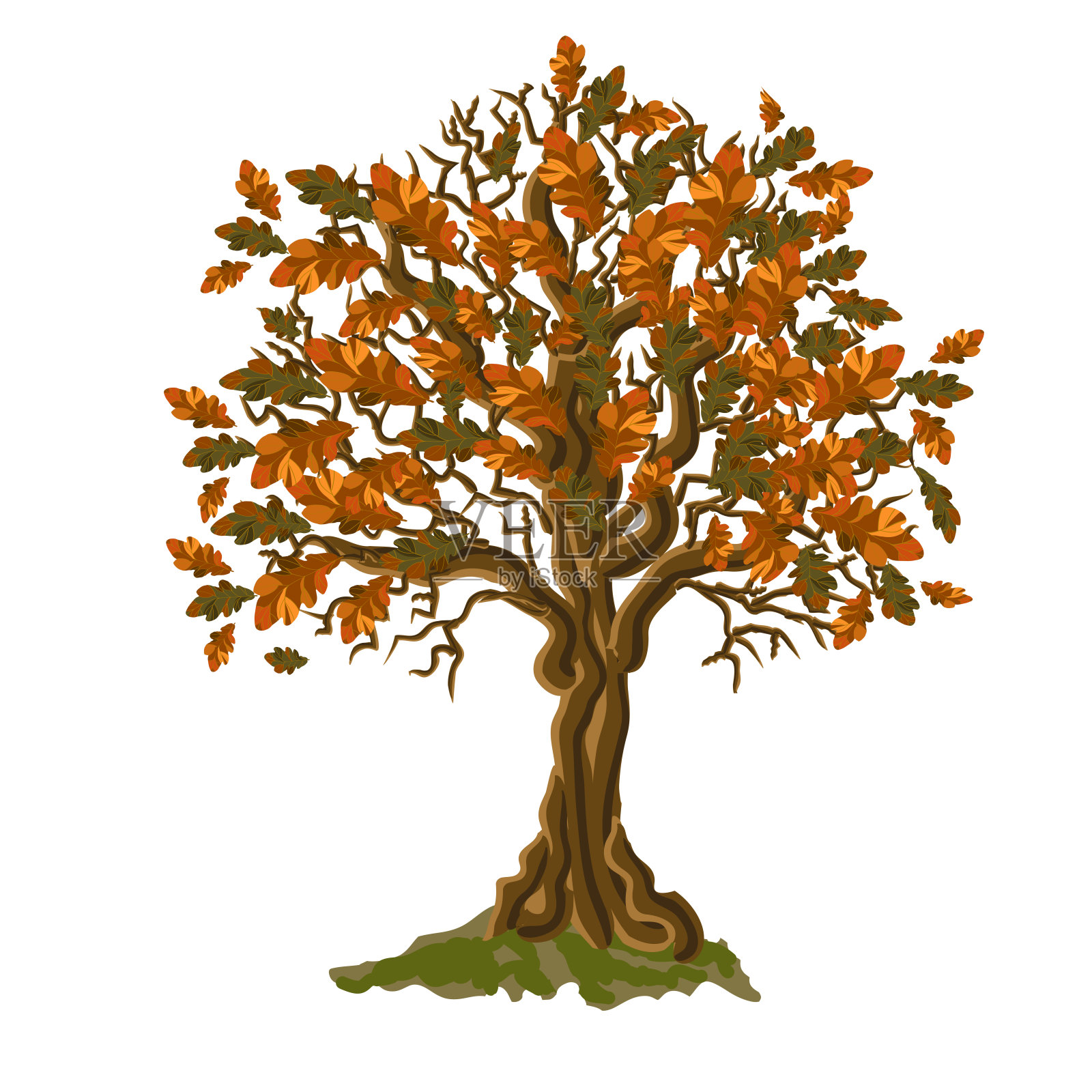 秋天的树插画图片素材