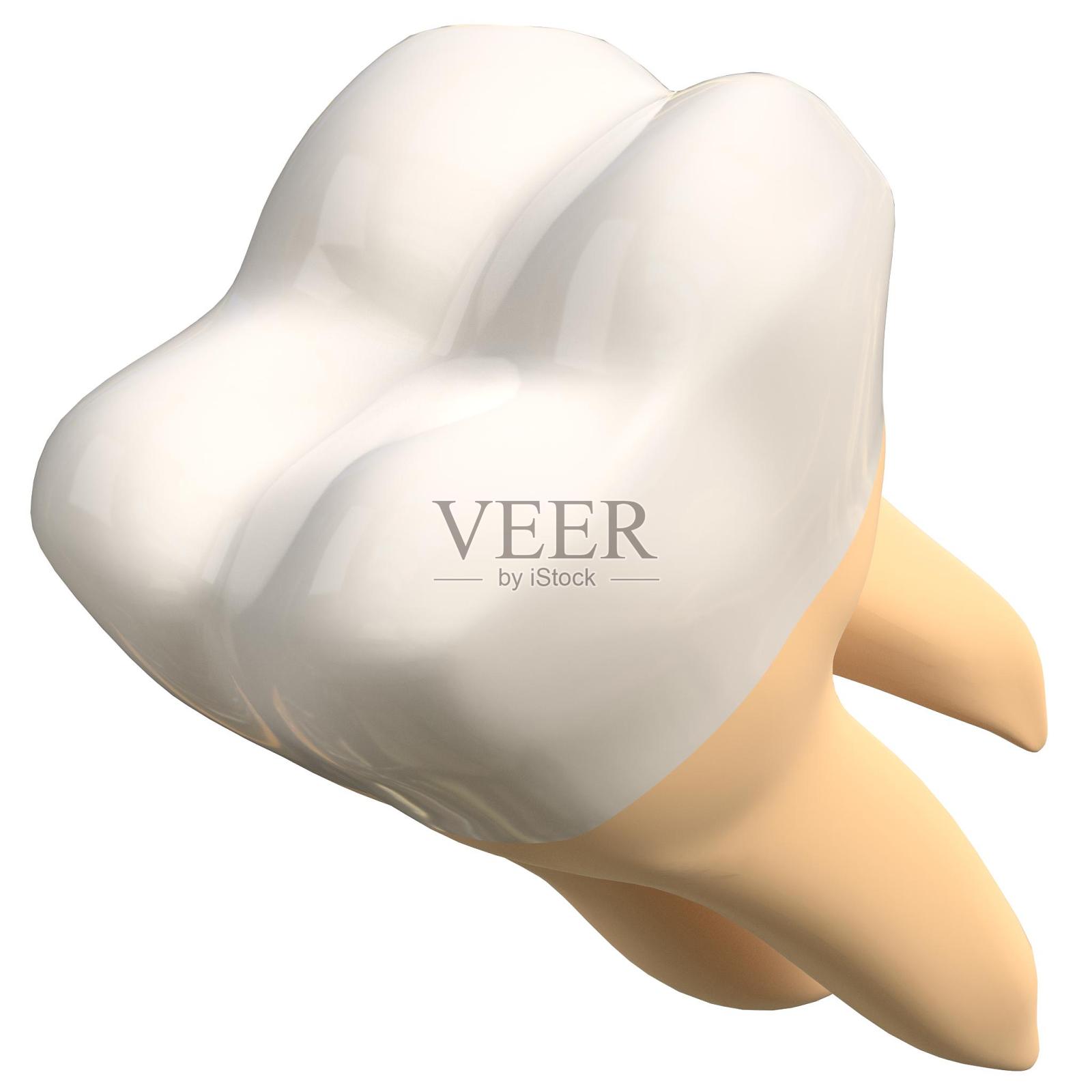 程式化的人类第二臼齿照片摄影图片