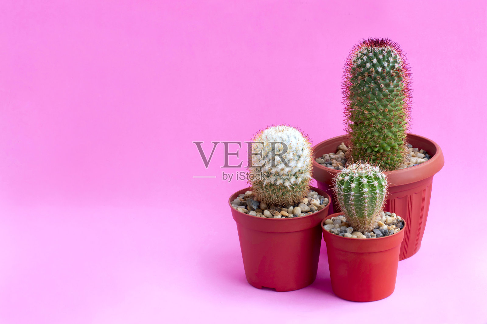 粉红色背景上自制的仙人掌照片摄影图片