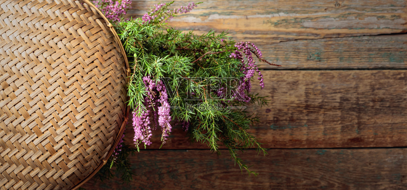 盛开的石南和杜松枝与浆果在木背景上。照片摄影图片