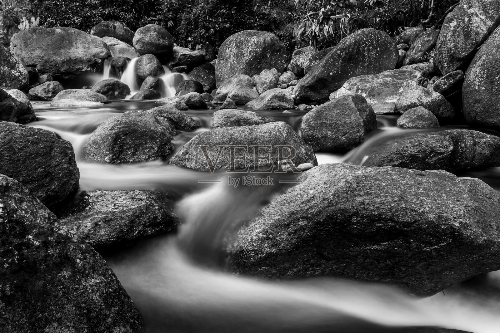 河石与树五彩缤纷，黑白黑白风格各异照片摄影图片