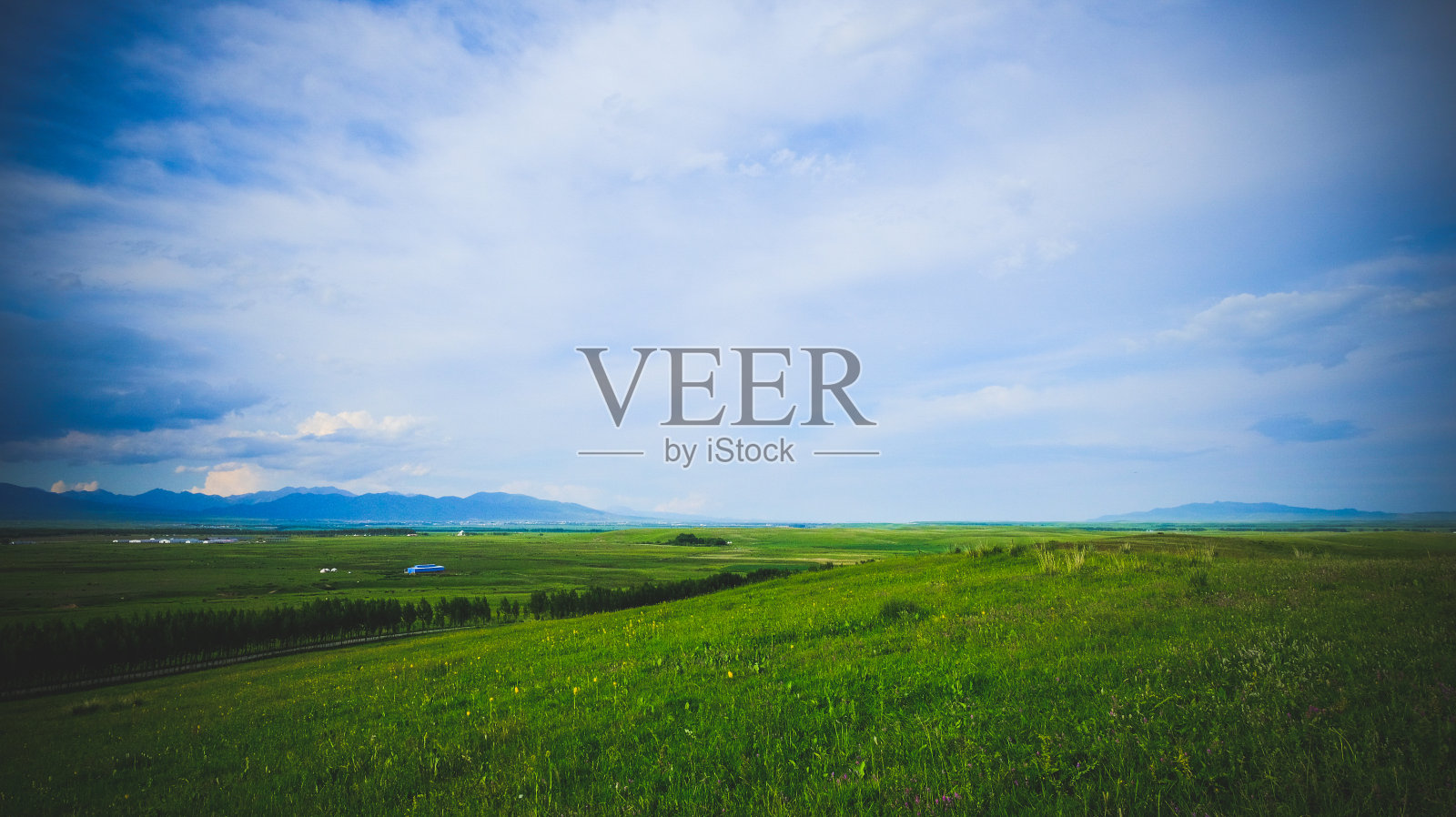 草原照片摄影图片