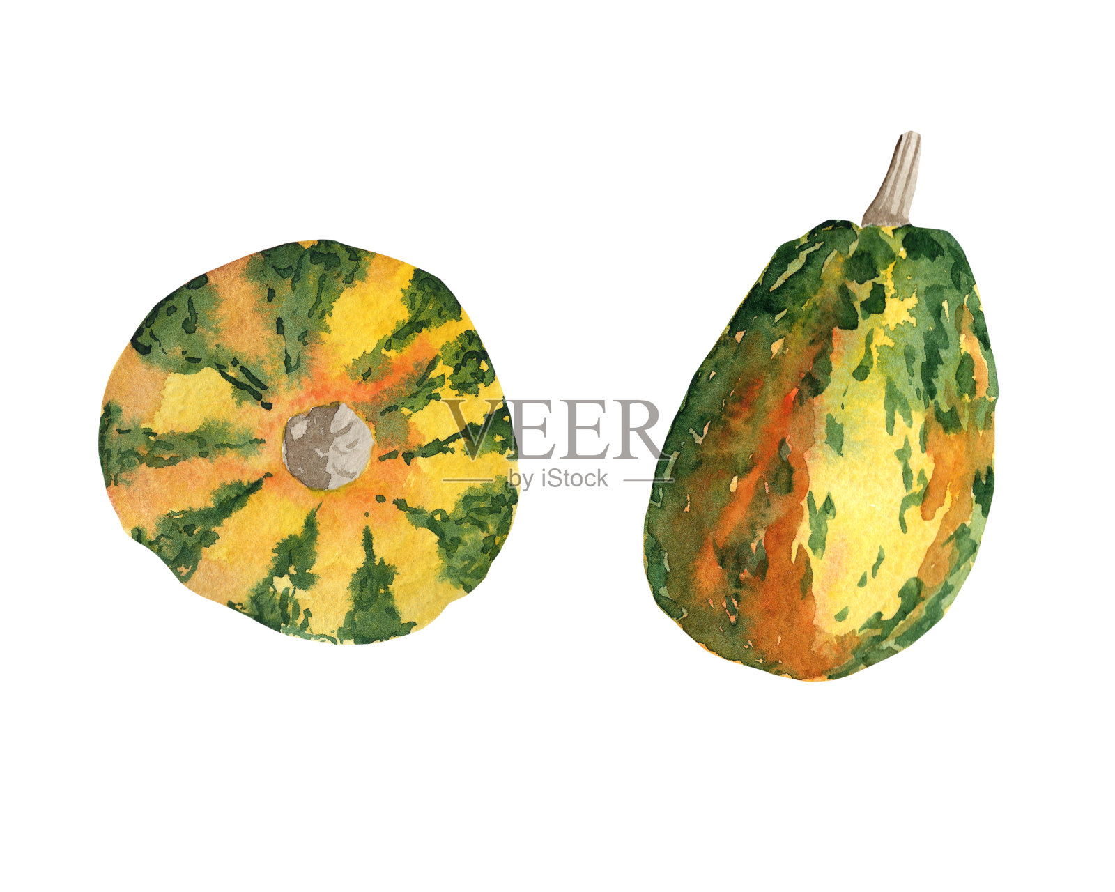 水彩的南瓜。插画图片素材