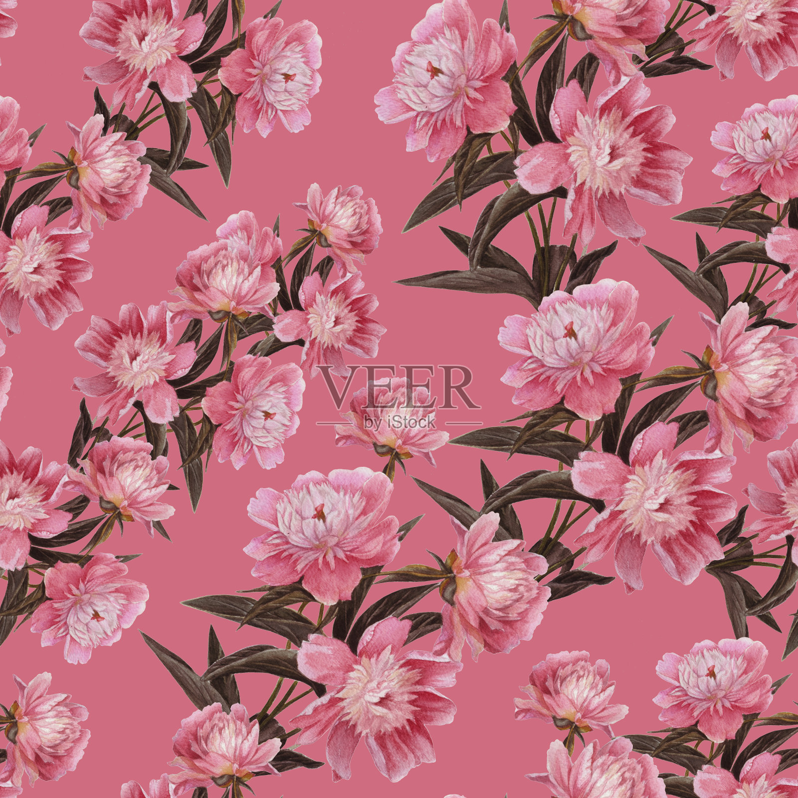 精致的粉红色背景用于纺织品、包装、包装。插画图片素材