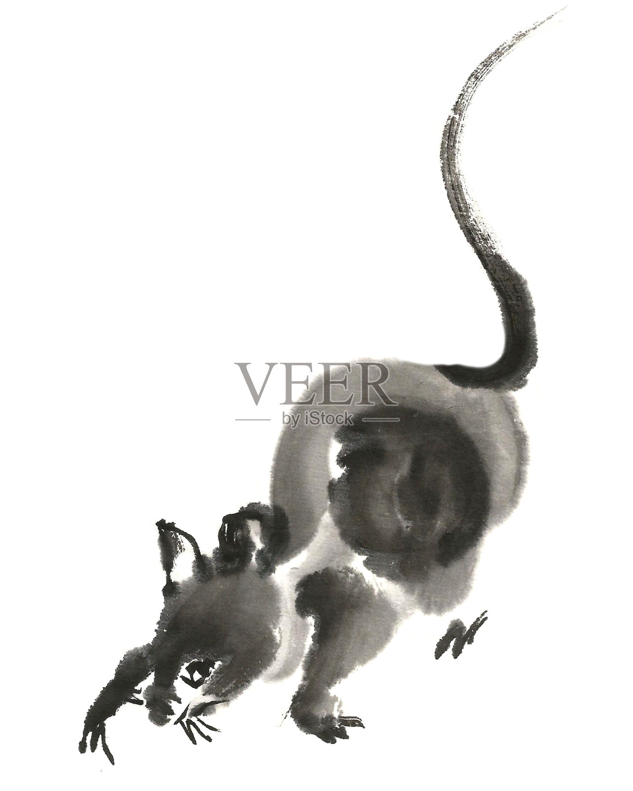 中国的水墨画。白色背景上的鼠标插图插画图片素材