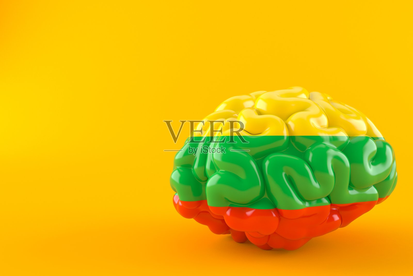 立陶宛国旗的大脑照片摄影图片