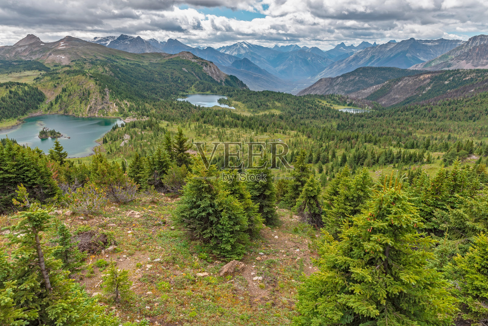 阿西尼博因山省级公园阳光草地上的石岛湖照片摄影图片