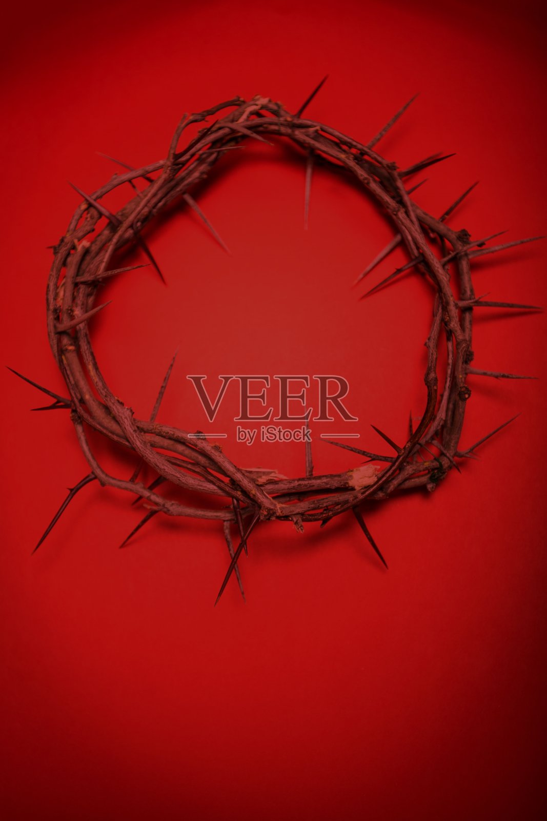 荆棘的冠冕。照片摄影图片