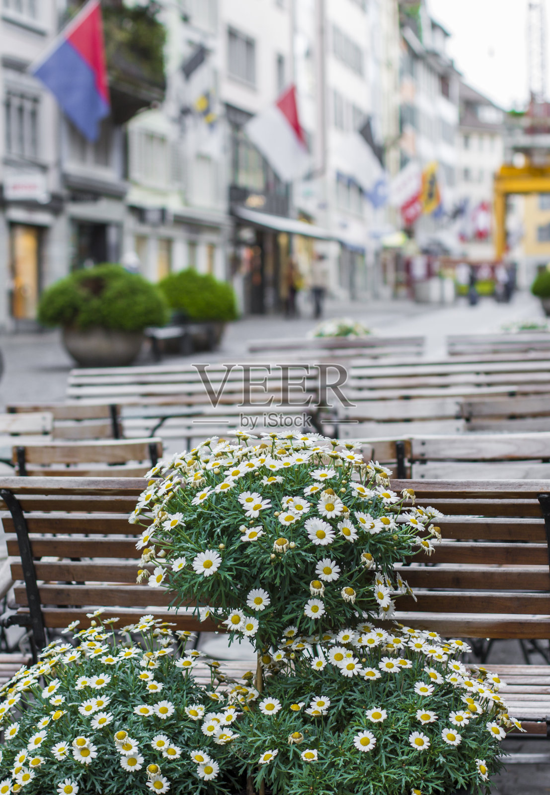 苏黎世的街道。苏黎世的架构。街头的照片照片摄影图片