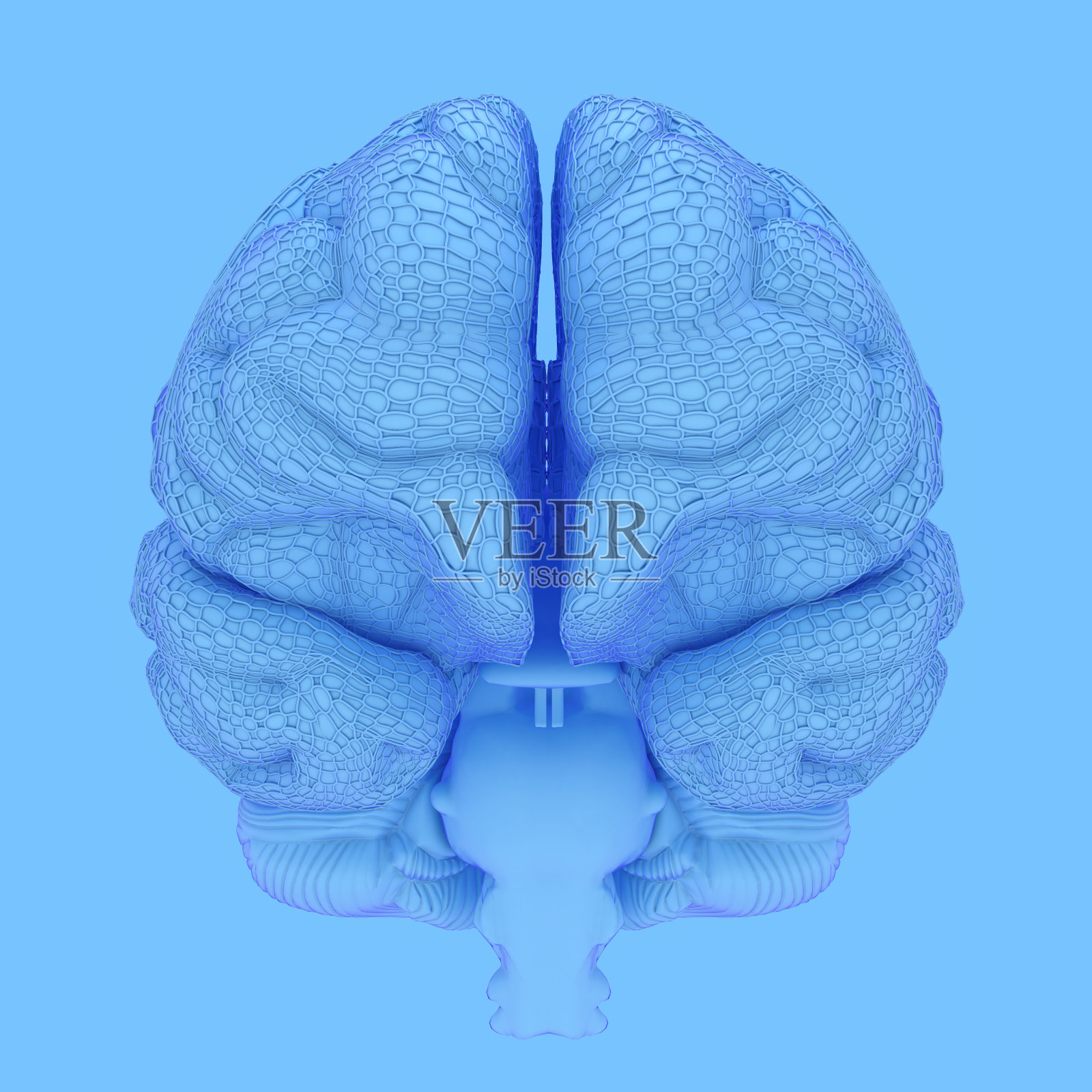 人类的大脑照片摄影图片