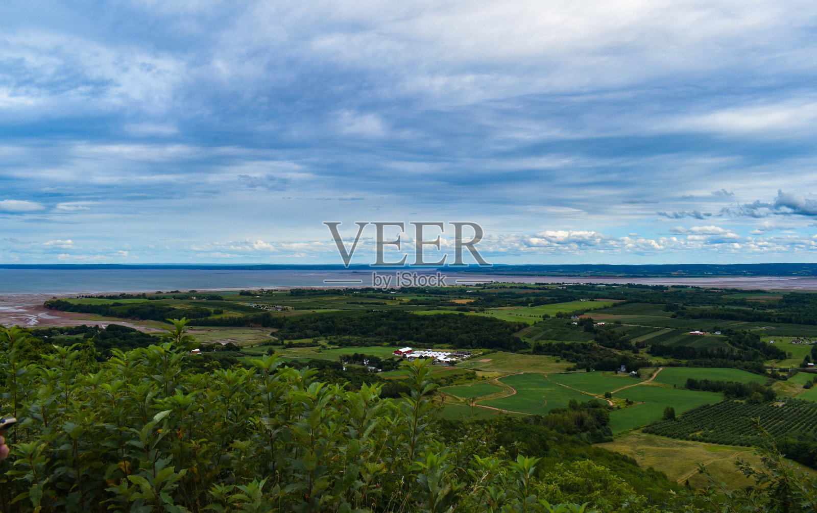 看了Vista照片摄影图片