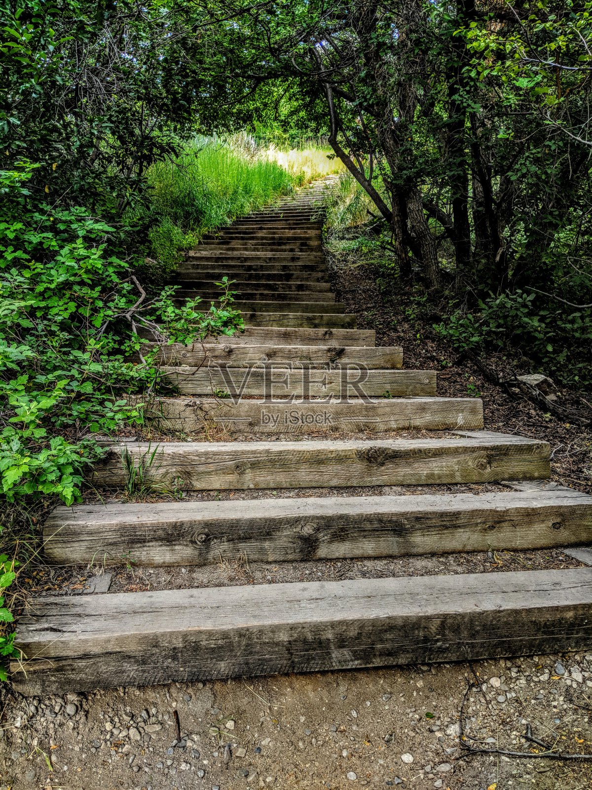 楼梯照片摄影图片