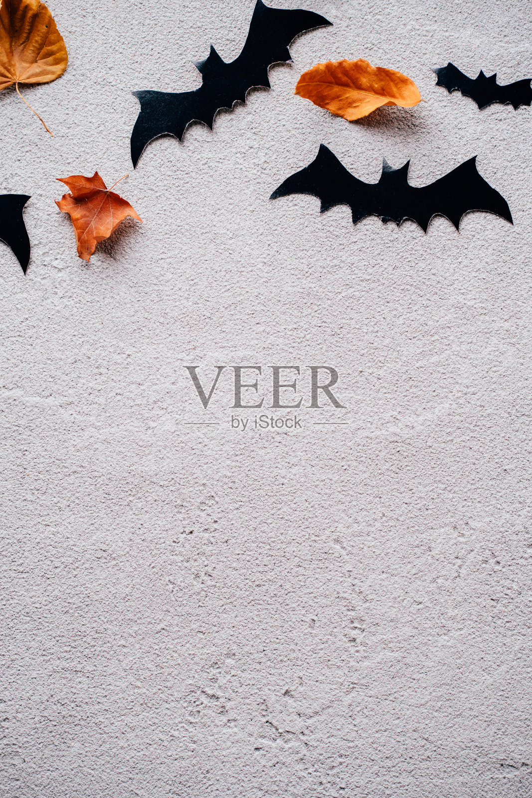 万圣节的背景用纸蝙蝠装饰照片摄影图片