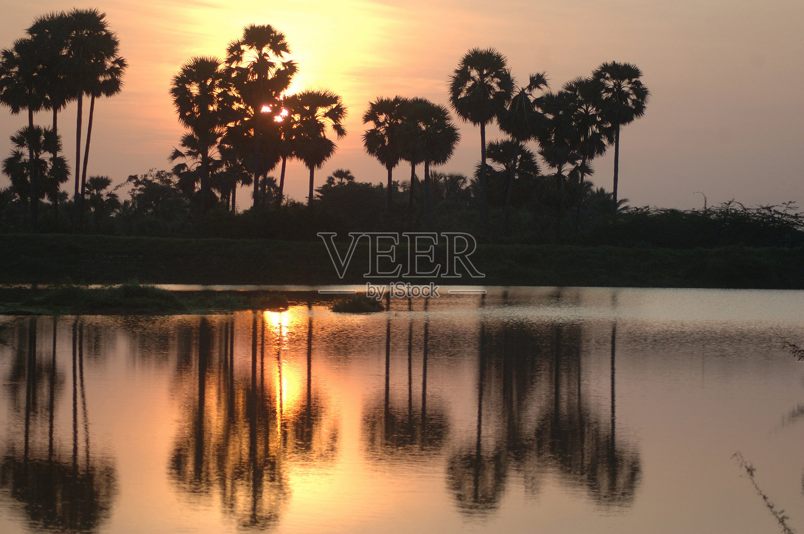 热带的日出照片摄影图片