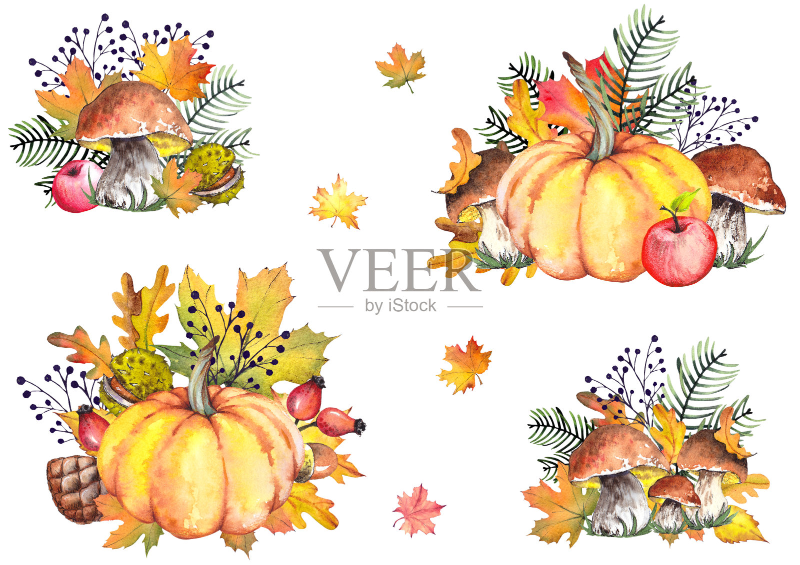 秋季插图与南瓜，苹果，蘑菇，松树枝和彩色的叶子。插画图片素材