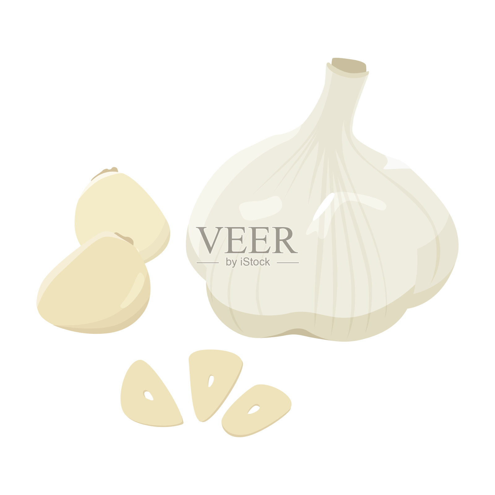 插图的大蒜。食材也用于中药和药膳。插画图片素材