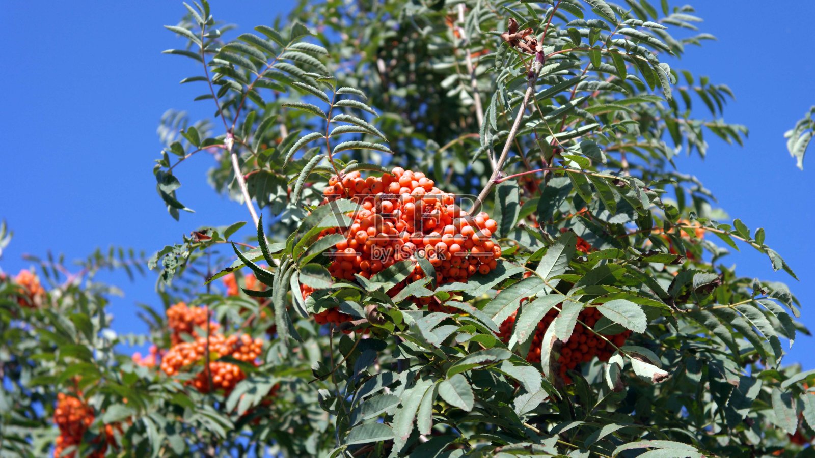 在晴朗干燥的日子里照片摄影图片