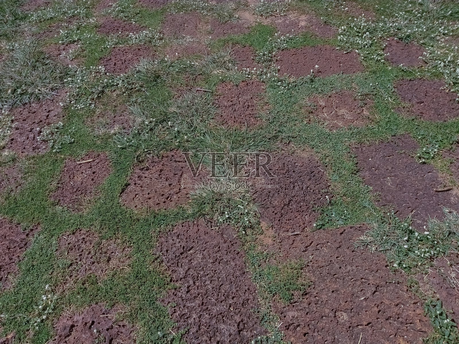 这条人行道是用红土石砌成的。照片摄影图片