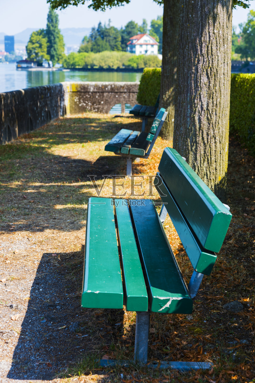 瑞士Zug州奥伯威尔镇的绿色长椅和湖滨景色照片摄影图片