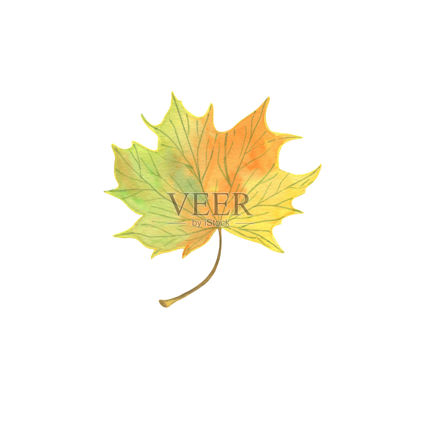 水彩秋天枫叶，手绘图案在绿色，黄色和橙色的颜色，季节性插图插画图片素材