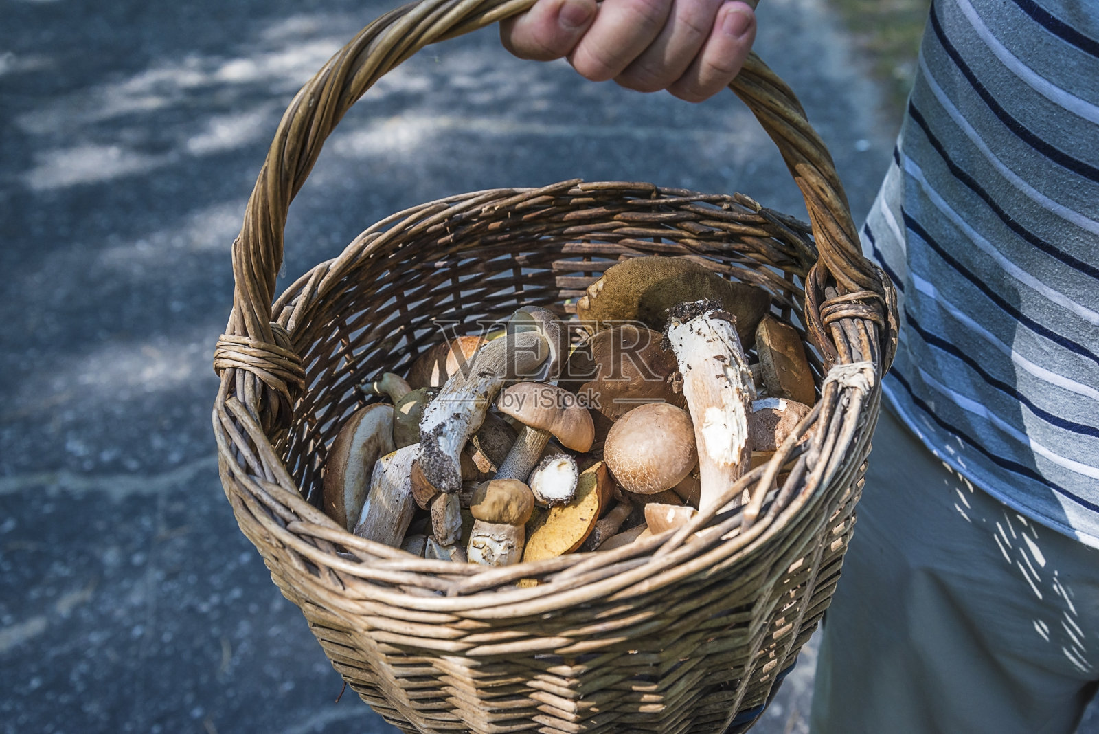 男人的手托着带蘑菇和刀的旧柳条篮子照片摄影图片
