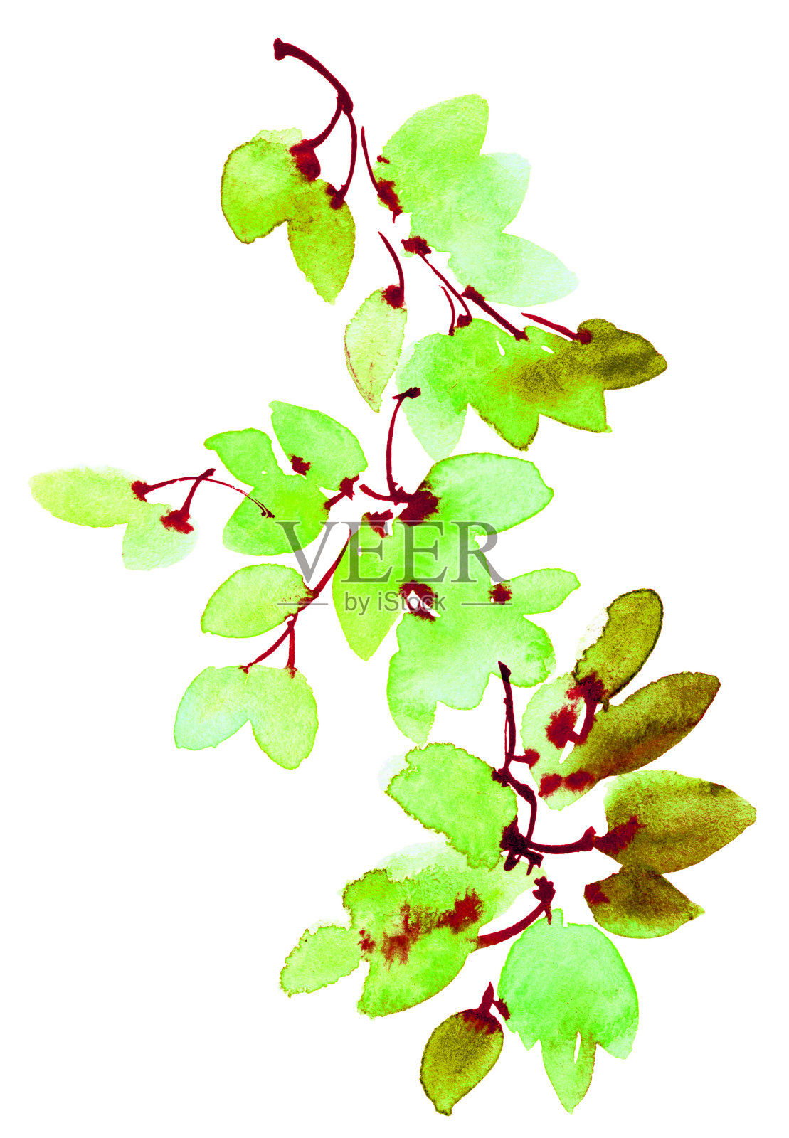 水彩和墨水用树叶画树枝插画图片素材