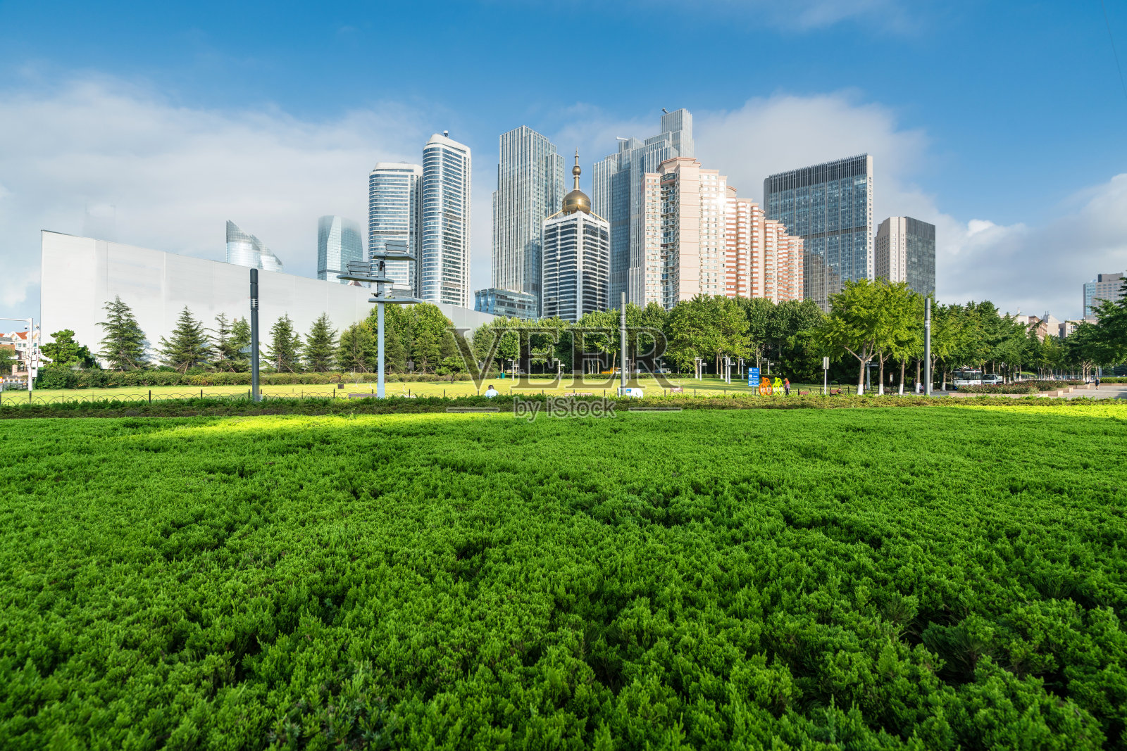 中国青岛公园草坪与现代城市建筑照片摄影图片
